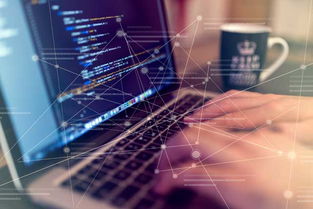 自助建站五步走，輕松掌握技術(shù)開發(fā)核心